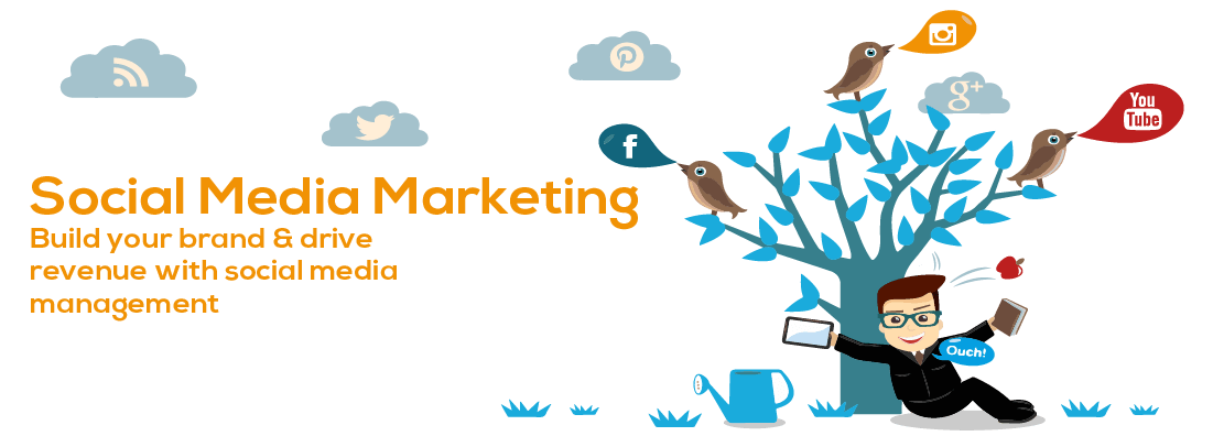 social media optimizetion(smo) social media optimizetion(smo) in Amroha